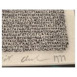 Framed Limited Edition Shell Artwork by Abigail Anderson