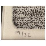 Framed Limited Edition Shell Artwork by Abigail Anderson