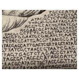 Framed Limited Edition Shell Artwork by Abigail Anderson