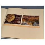 Chased By The Light by Jim Brandenburg Hardcover Photo Book