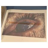 Chased By The Light by Jim Brandenburg Hardcover Photo Book