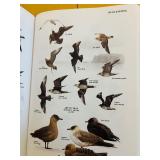 Three Books on Bird Watching and Identification