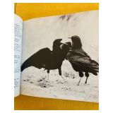 Three Books on Bird Watching and Identification