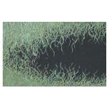 Framed Abstract Print by Abigail Anderson (2012)