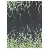 Framed Abstract Print by Abigail Anderson (2012)