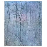 Framed Nature Print with Bare Trees and Pale Pink Blossoms
