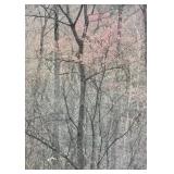 Framed Nature Print with Bare Trees and Pale Pink Blossoms