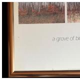 "A Grove of Birches" Print by Gretchen Garner