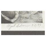 Original Graphite Artwork by Abigail Anderson