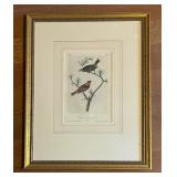 Beautiful Bird Motif Print 