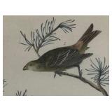 Beautiful Bird Motif Print 