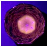 Set of 11 Morgantown Seneca Driftwood Red Footed Crinkle Goblets