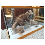 Awesome Stuffed Fisher in Custom Display Case