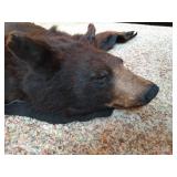 Beautiful Black Bear Rug