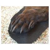 Beautiful Black Bear Rug