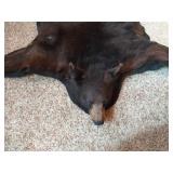 Beautiful Black Bear Rug