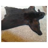 Beautiful Black Bear Rug
