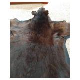 Beautiful Black Bear Rug