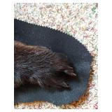 Beautiful Black Bear Rug