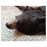 Beautiful Black Bear Rug