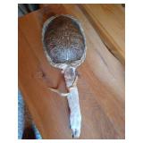 Turtle Shell & Animal Paw Rattle