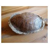 Turtle Shell & Animal Paw Rattle
