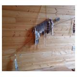 Native American Bow & Arrows With Bobcat Skin Quiver - Very Neat!