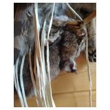 Native American Bow & Arrows With Bobcat Skin Quiver - Very Neat!