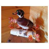 Mounted Stuffed Wood Duck