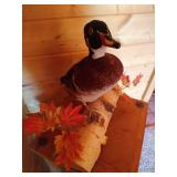 Mounted Stuffed Wood Duck