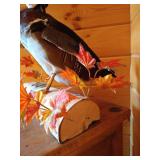 Mounted Stuffed Wood Duck