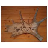 Moose Antler with Scrimshaw Deer Scene