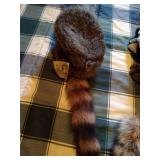 Raccoon Lot - (2) Real Raccoon Tails