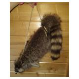 Raccoon Skin Quiver