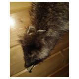Raccoon Skin Quiver