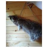 Raccoon Skin Quiver