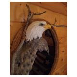 Neat Eagle Mirror