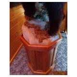 Beautiful Custom Mounted Black Bear on Custom Pedestal