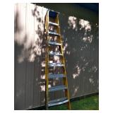 Bauer Stepladder - 10