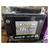 Small Battery Lot - (2) Small Batteries & Charger
