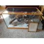Awesome Stuffed Fisher in Custom Display Case