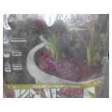 Natural Moss, Preserved Moss and Ga... Natural Moss, Preserved Moss and Ga...