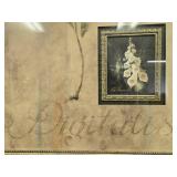 Set of 2 Framed Botanical Floral Prints Signed F. de Villeneuve 44x32 Inches Set of 2 Framed Botanical Floral Prints Signed F. de Villeneuve 44x32 Inches