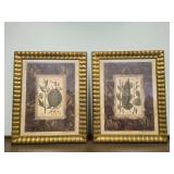 Pair of Botanical Framed Art Prints by Collective Images 30x23 Inches Pair of Botanical Framed Art Prints by Collective Images 30x23 Inches