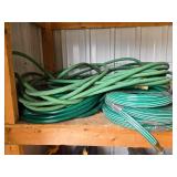 Group of Green Garden Hoses in Various Lengths Group of Green Garden Hoses in Various Lengths