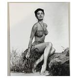 Set of 9 Vintage Hollywood Glamour Portrait Photographs Featuring Greta Garbo, Julie Newmar, Kin Novak, Cyd Charisse and more