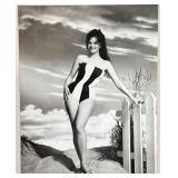 Set of 9 Vintage Hollywood Glamour Portrait Photographs Featuring Greta Garbo, Julie Newmar, Kin Novak, Cyd Charisse and more