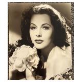 Collection of 12 Vintage Hollywood Actresses 8x10 B&W Portrait Photographs