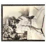 Set of 16 Vintage Hollywood Actress Photographs Featuring Anita Edberg, Hazel Court, Bettie Davis and more