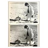 Collection of Jean Seberg Vintage Film Stills and Lobby Cards